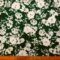 Crepe De Chine Fabric Floral Bilbao Blooms Green White