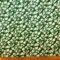 Crepe De Chine Fabric Capri Floral Green