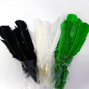 Indian Feathers 12 Piece Pack
