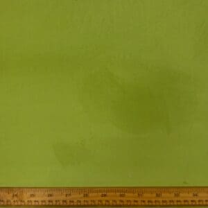 Velvet Fabric Curtaining Devonshire Lightweight Drape Velvet Apple Green