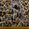 Chiffon Georgette Fabric Dixie Lynx Beige Black Copper