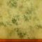 Chiffon Fabric Whisper Ferns Sage