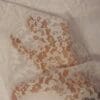 Lace Fabric Graceful Ivory