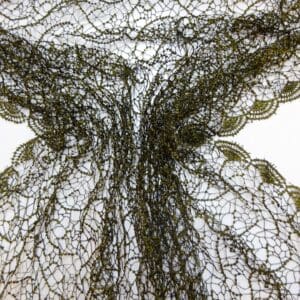Lace Fabric Spider Mesh Black/Gold