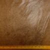Chocolate Brown